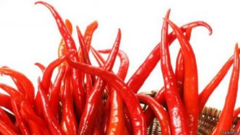 1444067898-151005154139chilepicanterojo624x351thinkstock